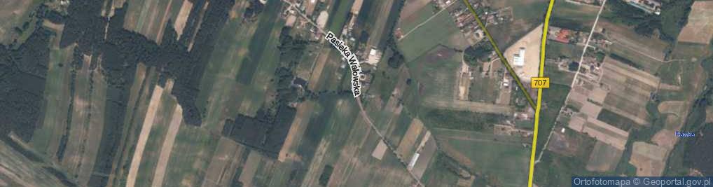 Zdjęcie satelitarne Pasieka Wałowska ul.
